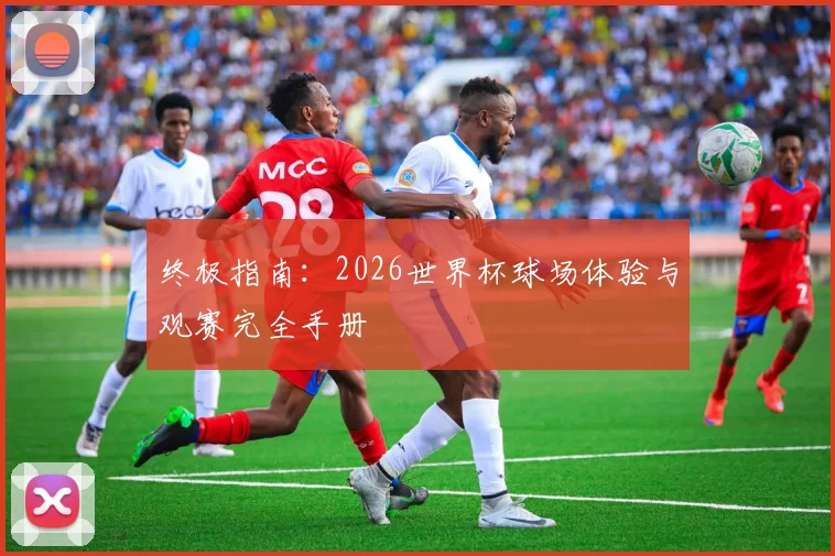 终极指南：2026世界杯球场体验与观赛完全手册