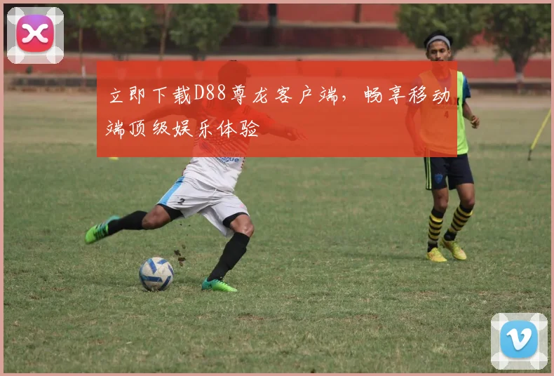立即下载D88尊龙客户端,畅享移动端顶级娱乐体验