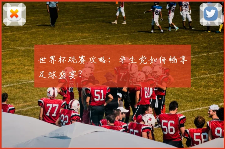 世界杯观赛攻略：学生党如何畅享足球盛宴？